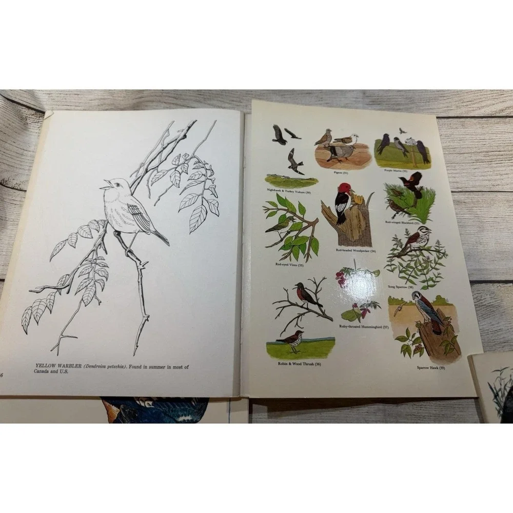 3 Vintage Books Dover Audubon Birds Field Guide to Coloring Fifty Favorite TubX